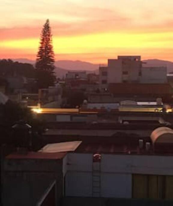 M1010 Agradable Departamento Centrico En Oaxaca Lejlighed Eksteriør billede